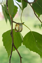 Similar image 1455236