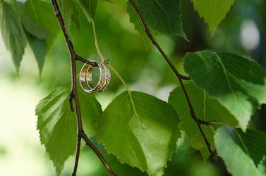 Similar image 1455237