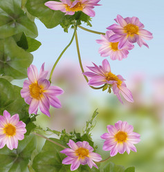 Similar image 1455252