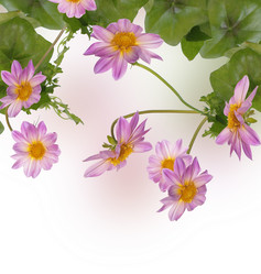 Similar image 1455253