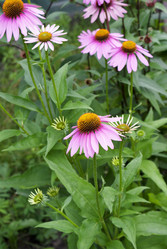 Similar image 1455255