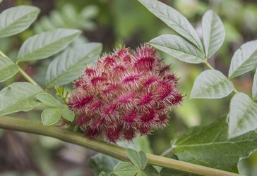 Similar image 1455294