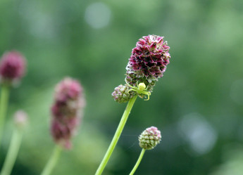 Similar image 1455297