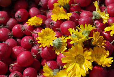 Similar image 1455298