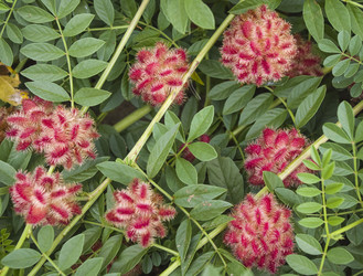 Similar image 1455302