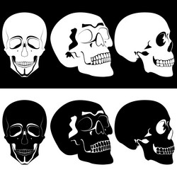 Similar image 1455303