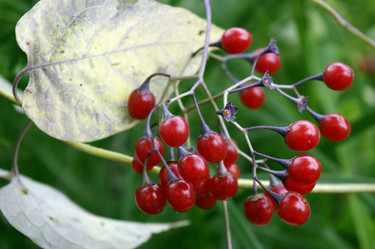 Similar image 1455326