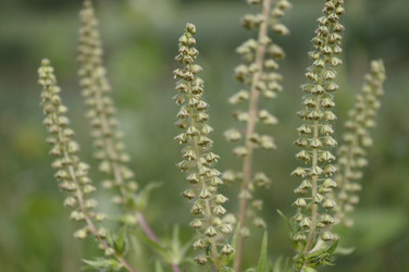 Similar image 1455327