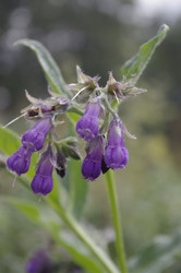 Similar image 1455328