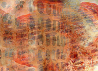 Similar image 1455346