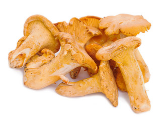 Similar image 1455417