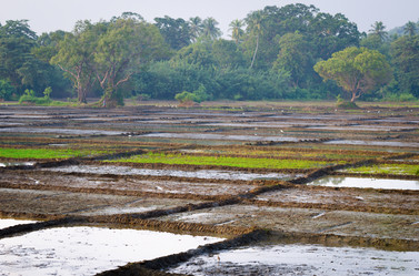 Similar image 1455428