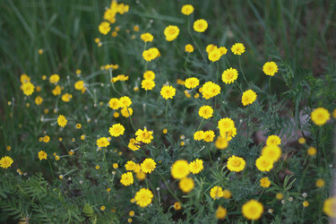 Similar image 1455452