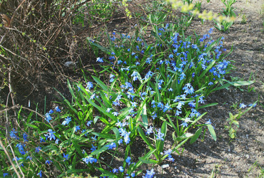 Similar image 1455453