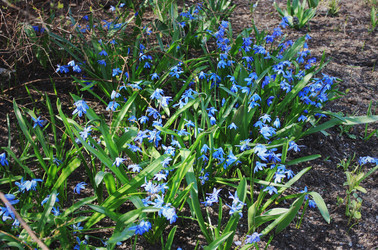 Similar image 1455454