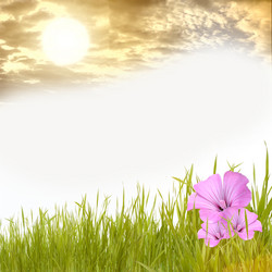 Similar image 1455465