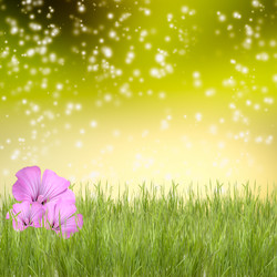 Similar image 1455466