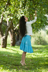 Similar image 1455477