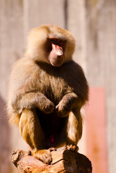 Similar image 1455489