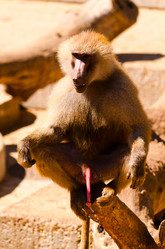 Similar image 1455491