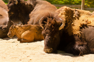 Similar image 1455494