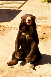 Similar image 1455499