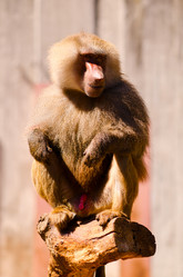 Similar image 1455502