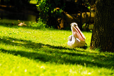 Similar image 1455559