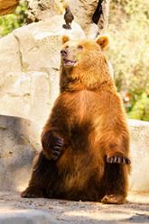 Similar image 1455562