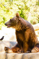 Similar image 1455564