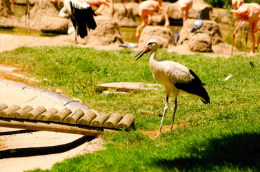 Similar image 1455567