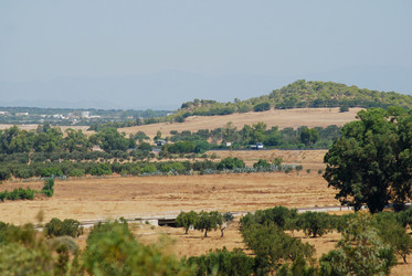 Similar image 1455585