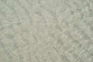 Similar image 1455586