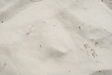 Similar image 1455587