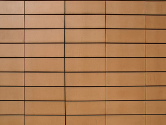 Similar image 1455594