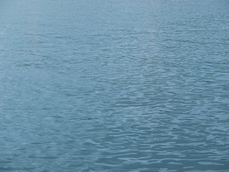 Similar image 1455597