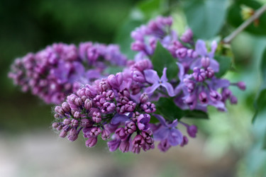 Similar image 1455601