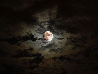 Similar image 1455608