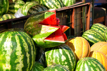 Similar image 1455671