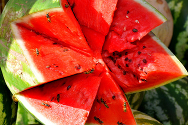 Similar image 1455672