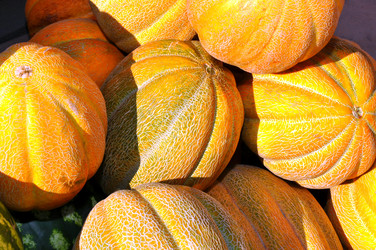 Similar image 1455681