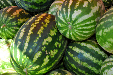 Similar image 1455682