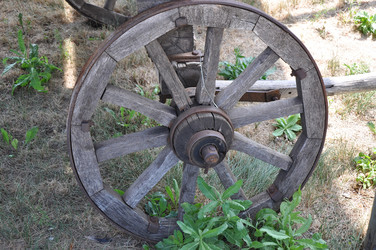 Similar image 1455683