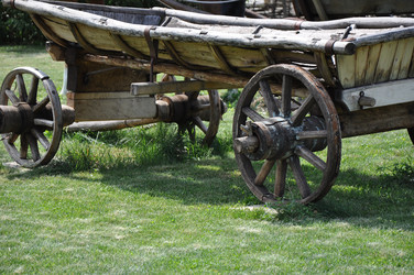 Similar image 1455688