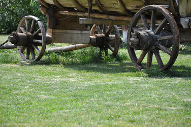 Similar image 1455689