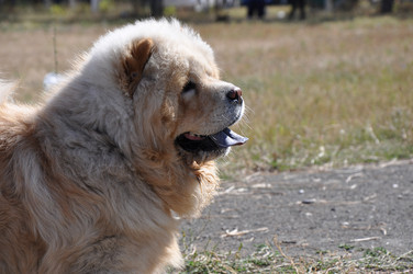 Similar image 1455693