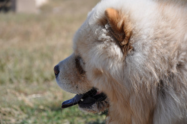 Similar image 1455694