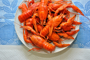 Similar image 1455716