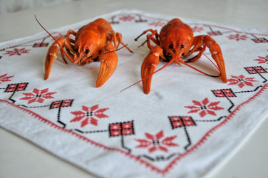 Similar image 1455722