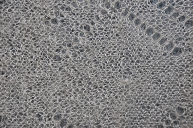 Similar image 1455725